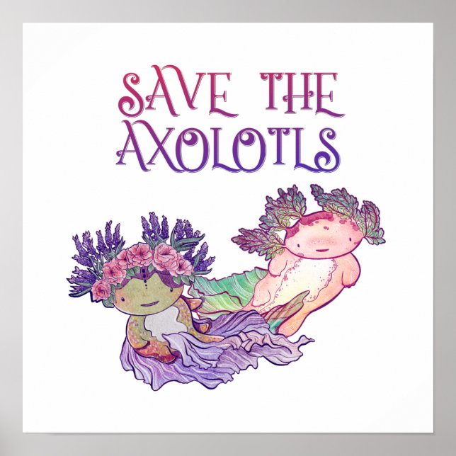 Salve os Axolotls,Axolotl,Salamander Poster (Frente)