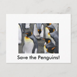 Salve os Pinguins! Cartão postal