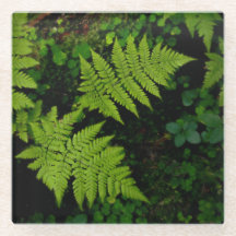 Samambaias da floresta escura, estética verde somb
