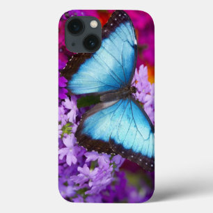 Sammamish Washington Borboleta Tropical