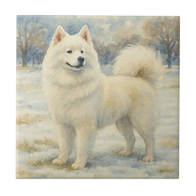 Samoyed (Frente)