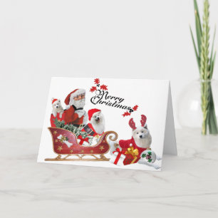 Samoyed e Papais noeis em cartões Sleigh