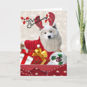 Samoyed Reindeer Cartões de Natal Feliz