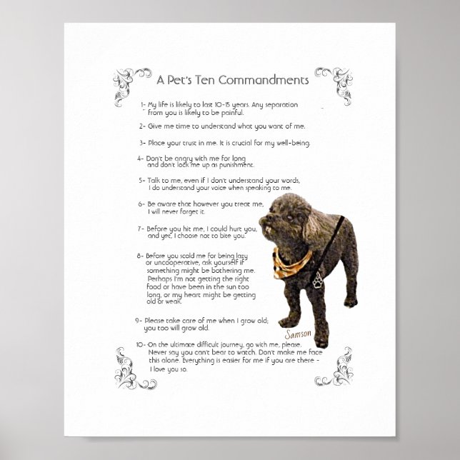 SAMSON - POSTER (Frente)