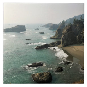 Samuel H. Boardman, Oregon Coast