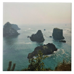 Samuel H. Boardman, Oregon Coast