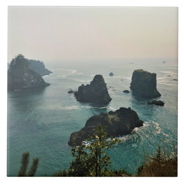 Samuel H. Boardman, Oregon Coast (Frente)