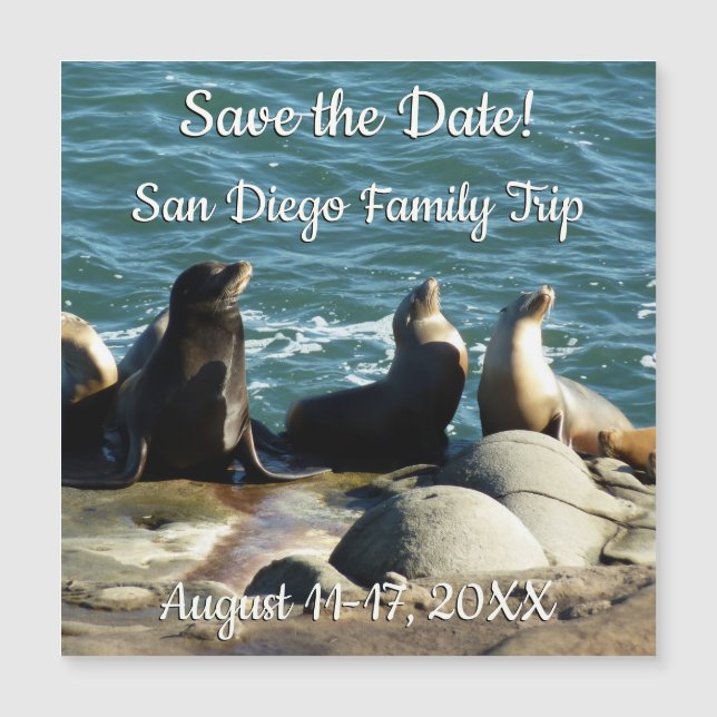 San Diego Sea Lions (Frente)