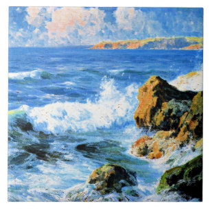 San Diego Shores, belas artes,