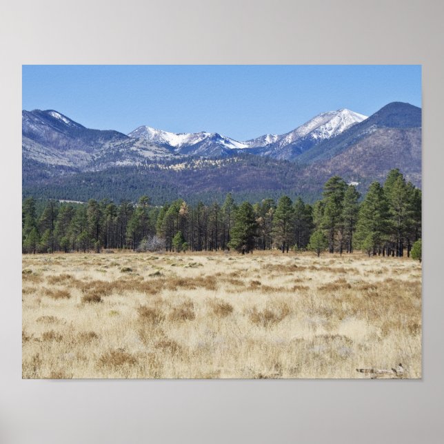 San Francisco Peaks - Flagstaff, poster de Arizona (Frente)