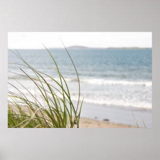 sand dune grass view poster