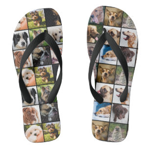 Sandálias de Cachorros Fofos e Engraçados