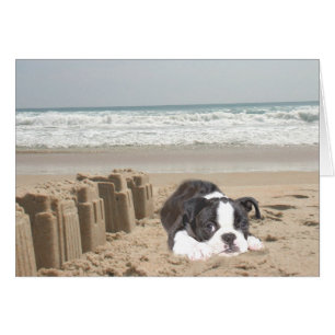 Sandcasts de Cartão Terrier de Boston