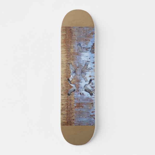 Sandhill Cranes o skate da fotografia (Frente)