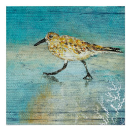 Sandpiper Beach Shorebird Weathered Art Impressão