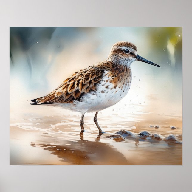 Sandpiper Bird Art Impressão (Frente)