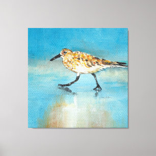Sandpiper - Canvas de Bairro do Wading na América 