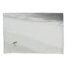 Sandpiper costeiro na praia