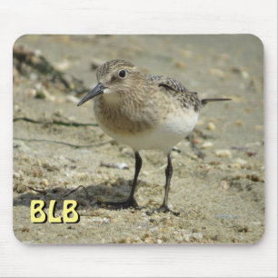 Sandpiper em Beach com suas iniciais Mouse Pad