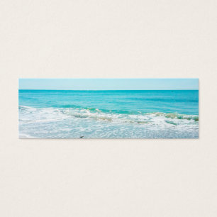 Sandpiper Tropical Florida Beach Sand Ocean Waves