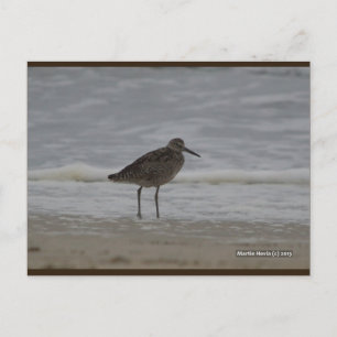 Sandpiper V Blue Beach Song™ Cartão Postal