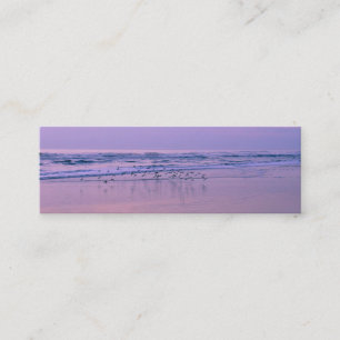 Sandpipers na praia em Placas de Contato do Sunris