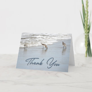 Sandppers no Cartões de agradecimentos de fotos do