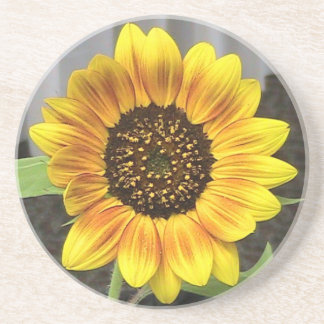 Sandstone Sunflower Porta copos