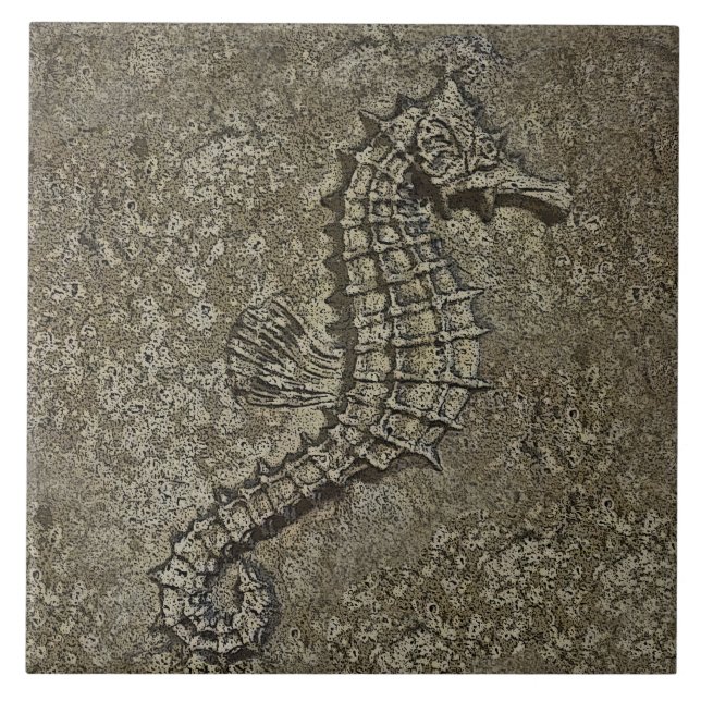 Sandy Textured a fotografia alterada cavalo (Frente)