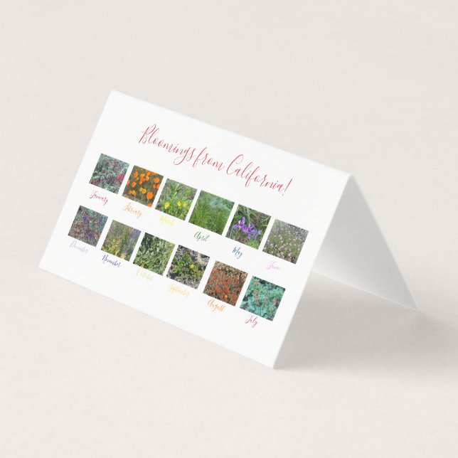 Sangue da Califórnia! (Frente)