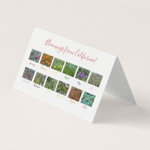 Sangue da Califórnia!