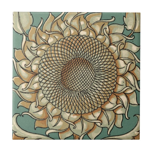 Sangue de girassol em fundo azul-esverdeado (Frente)