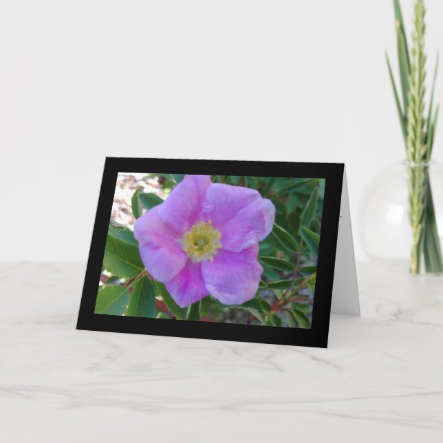 Sangue Rosa Suave- Canção do Sol. 8:7 Cartão de Sa (Frente)