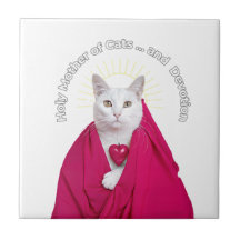 Santa Mãe de Gatos e Devoção