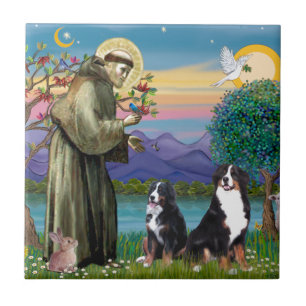 Santo Francis - Dois Cães de Montanha Berneses
