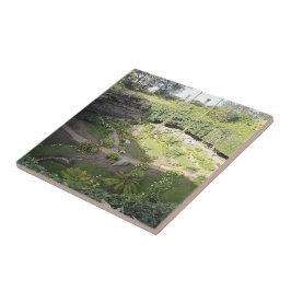 Santuário Oculto de Umpherston Sinkhole