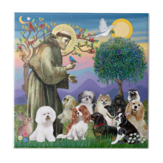 São Francisco com 10 Cães