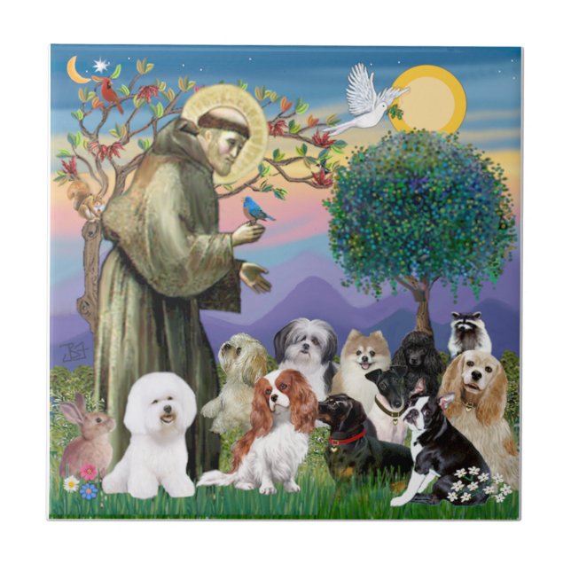 São Francisco com 10 Cães (Frente)