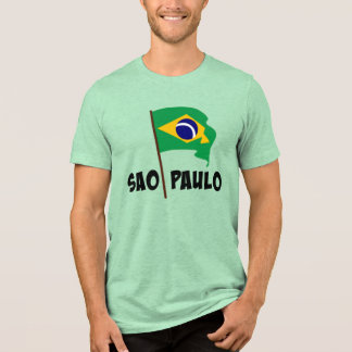 Sao Paulo, Flag of Brazil,