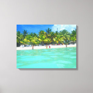 SAONA BEACH NA CANVAS 20 "x 16"