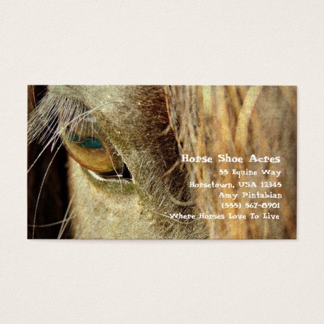 Sapato de Cavalo Acres (Frente)