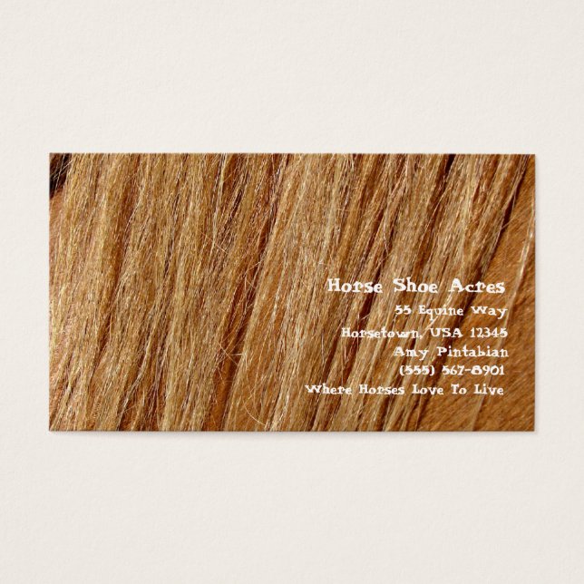 Sapato de Cavalo Acres Sorrel Mane (Frente)