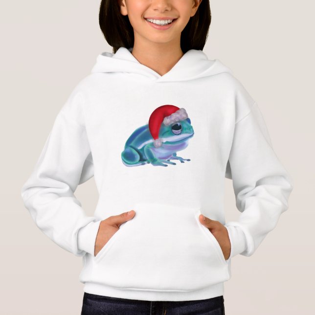 Sapo azul com chapéu de Papai Noel. (Frente)