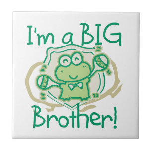 Sapo Big Brother