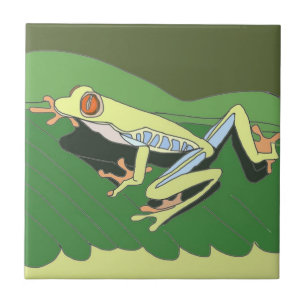 Sapo da Árvore Subindo