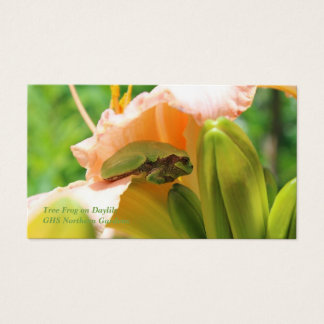 Sapo de árvore sorridente Lily Rosa