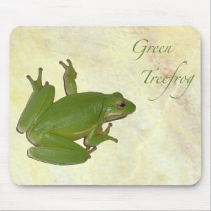 Sapo de árvore verde Mousepad