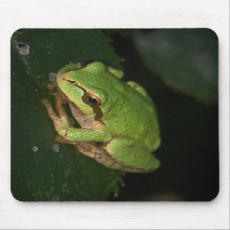 Sapo de árvore verde Mousepad
