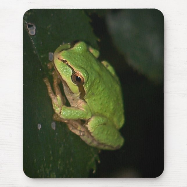 Sapo de árvore verde Mousepad (Frente)