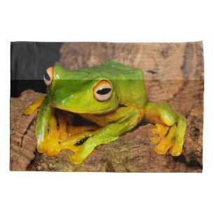 Sapo de deslizamento Preto-Webbed vietnamiano